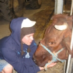 Hof Ten Hullenhove Hoeve Toerisme Belgique